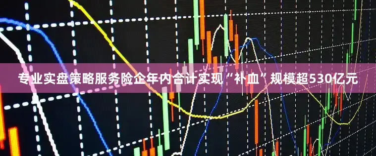 专业实盘策略服务险企年内合计实现“补血”规模超530亿元