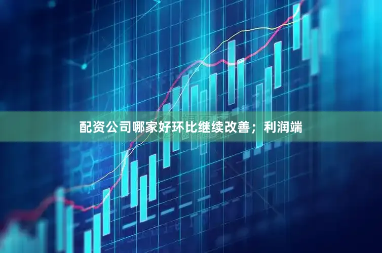 配资公司哪家好环比继续改善；利润端