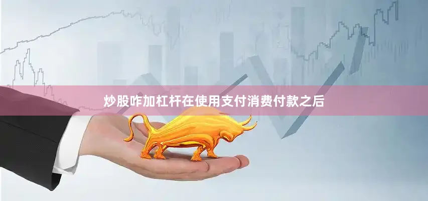 炒股咋加杠杆在使用支付消费付款之后
