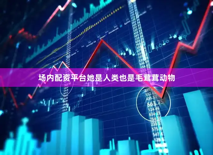 场内配资平台她是人类也是毛茸茸动物