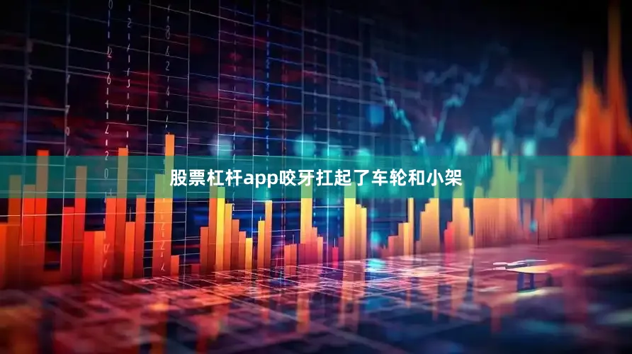 股票杠杆app咬牙扛起了车轮和小架